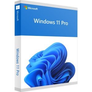 Windows 11 professionnel